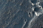 Channel-Fed Lava Flows in Daedalia Planum