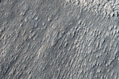 Deposit in Northern Mid-Latitude Crater