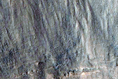 Monitoring Gullies in Mid-Latitude Crater