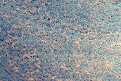 High-Latitude Lobate Slope Features