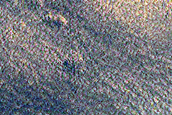 Possible Olivine-Rich Terrain in Crater