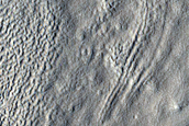 Head of Mamers Valles