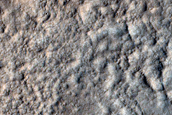 Terrain Sample