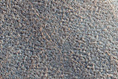 Possible Olivine-Rich Terrain in Northern Crater
