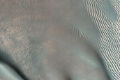 Dune Monitoring in Milankovic Crater
