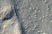 Layered Sediments in the Medusae Fossae Formation