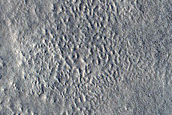 Ridges in Arcadia Planitia