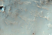 Possible Olivine-Rich Filled Crater