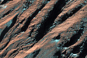 Gullied Crater Wall in Noachis Terra