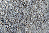 Ridges in Tempe Terra