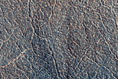 Crater with Possible Olivine