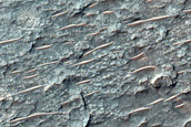Tyrrhena Terra Crater Floor