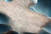 Chasma Boreale Scarp Dunes