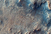 Candidate Landing Site for 2020 Mission in Jezero Crater