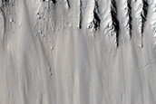 Slopes of Very Fresh 10-Kilometer Crater in Utopia Planitia