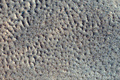 High-Centered Kilometer-Scale Polygons in Arcadia Planitia