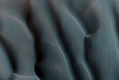 Dune Field