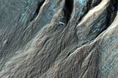 Gullied Crater Wall