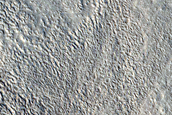 Ridges in Tempe Terra