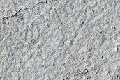 Elysium Planitia
