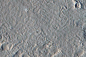 Eastern Amazonis Planitia