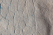 Utopia Planitia Sample