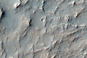 Sedimentary Clays and Sulfates