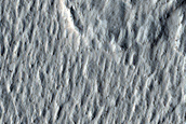 Lava Crust and Wakes in Amazonis Planitia