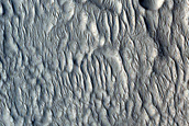 Nilosyrtis Mensae