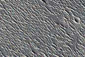 Utopia Planitia Sample