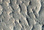 Flows on Plains West of Tharsis Montes
