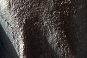 Terrain Sample