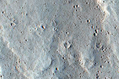 Terrain Sample