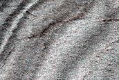 Spider Along Layers on Ejecta Blanket