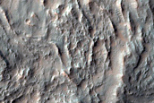 Terrain Sample