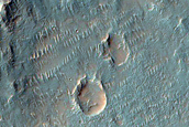 Possible Phyllosilicate-Rich Terrain in Nirgal Vallis