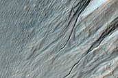 Gullied Crater Wall