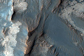Phyllosilicates and Hydrated Silica-Rich Terrain in Ius Chasma