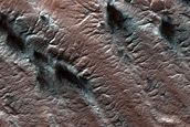 Variety of Spider Terrain