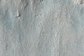 Gully Monitoring