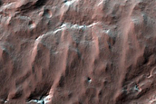 Spiders with Fans near South Polar Layered Deposits