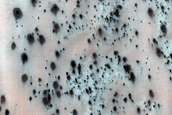 Active Dunes with Star-Shaped Fans