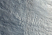 Monitor Gullies on Northern Hemisphere Crater Wall