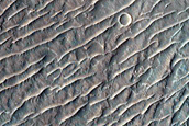 East Melas Chasma Floor Deposits
