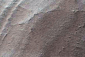 Spider along Layers on Ejecta Blanket