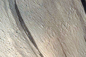 Slope Streaks in Olympus Mons Aureole