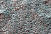 Seasonal Monitoring near Pityusa Rupes