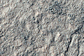 Channels with Tributaries on Rocky Plains Northwest of Argyre Region