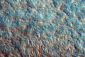 Terrain Sample