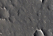 Cratered Cones in Utopia Planitia